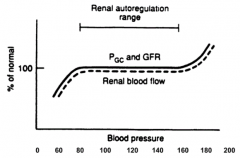 ~80-160 mmHg (remains at normal)
- Lower BP leads to lower GFR and RBF
- Higher BP leads to higher GFR and RBF