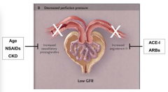 - ACE-I and ARBs inhibit effects of Angiotensin II
- Prevents constriction of efferent arteriole
- Leads to low GFR