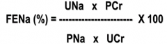Fractional Excretion of Na+ (FENa)
- Expressed as amount of Na+ excreted over amount of Na+ filtered by glomeruli
