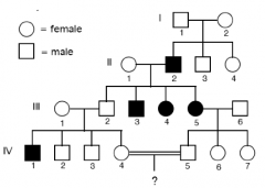 A genetic representation of a family tree that diagrams the inheritance of a trait or disease though several generations.