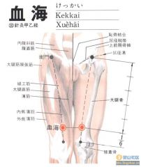 屈膝，在髌底内側上2寸，股內侧肌隆起处


 