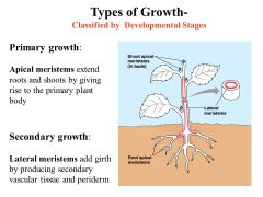 Meristematic cells give rise to various organs of the plant and keep the plant growing.. 