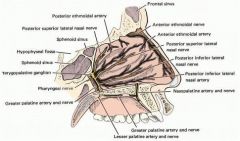 passage in the skull that transmits the descending palatine artery, vein, and greater and lesser palatine nerves between the pterygopalatine fossa and the oral cavity