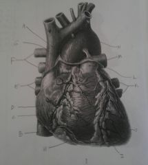 heart pictures, p. 1, I


 