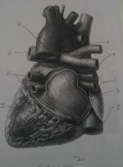 heart pictures, p. 2, I