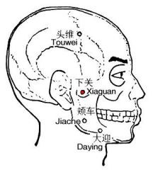 頭部側面，耳前一橫指，當顴弓下緣與下颌切迹所形成的凹陷中，張口時隆起，閉口取穴