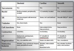 Skeletal Smooth And Cardiac Muscle Comparison Chart