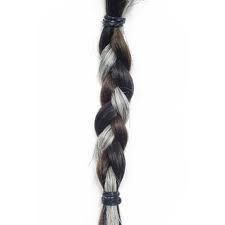 a braid of hair 
("A la espalda le colgaba una larga ______.")