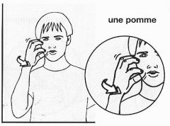 LSF Langue des Signes Francaise Foreign Language Flashcards - Cram.com